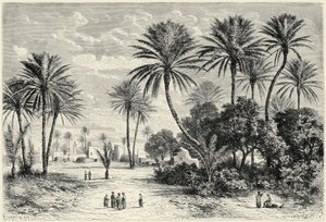 واحة قفصة: تونس